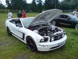 Big Bumper Meet 2007